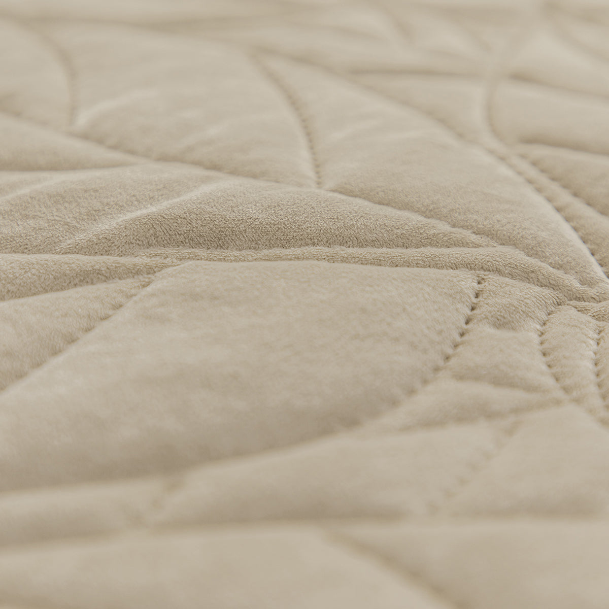 Juego De Edredón Vida